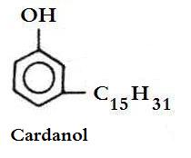 Cardanol